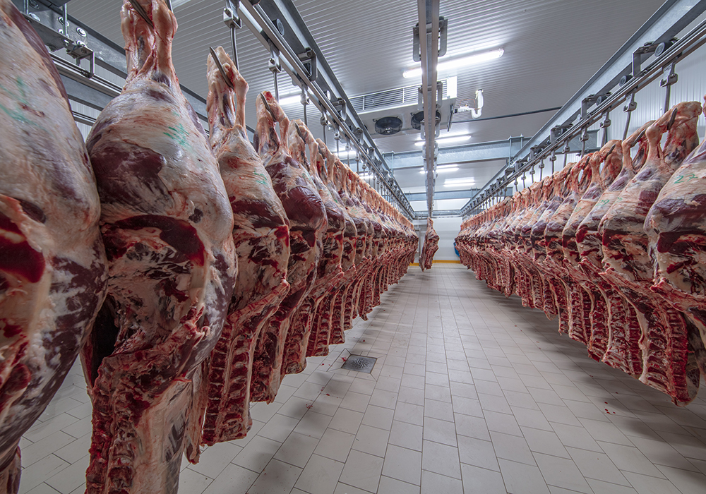 SD-beef-plant-GettyImages-1134115920.jpg